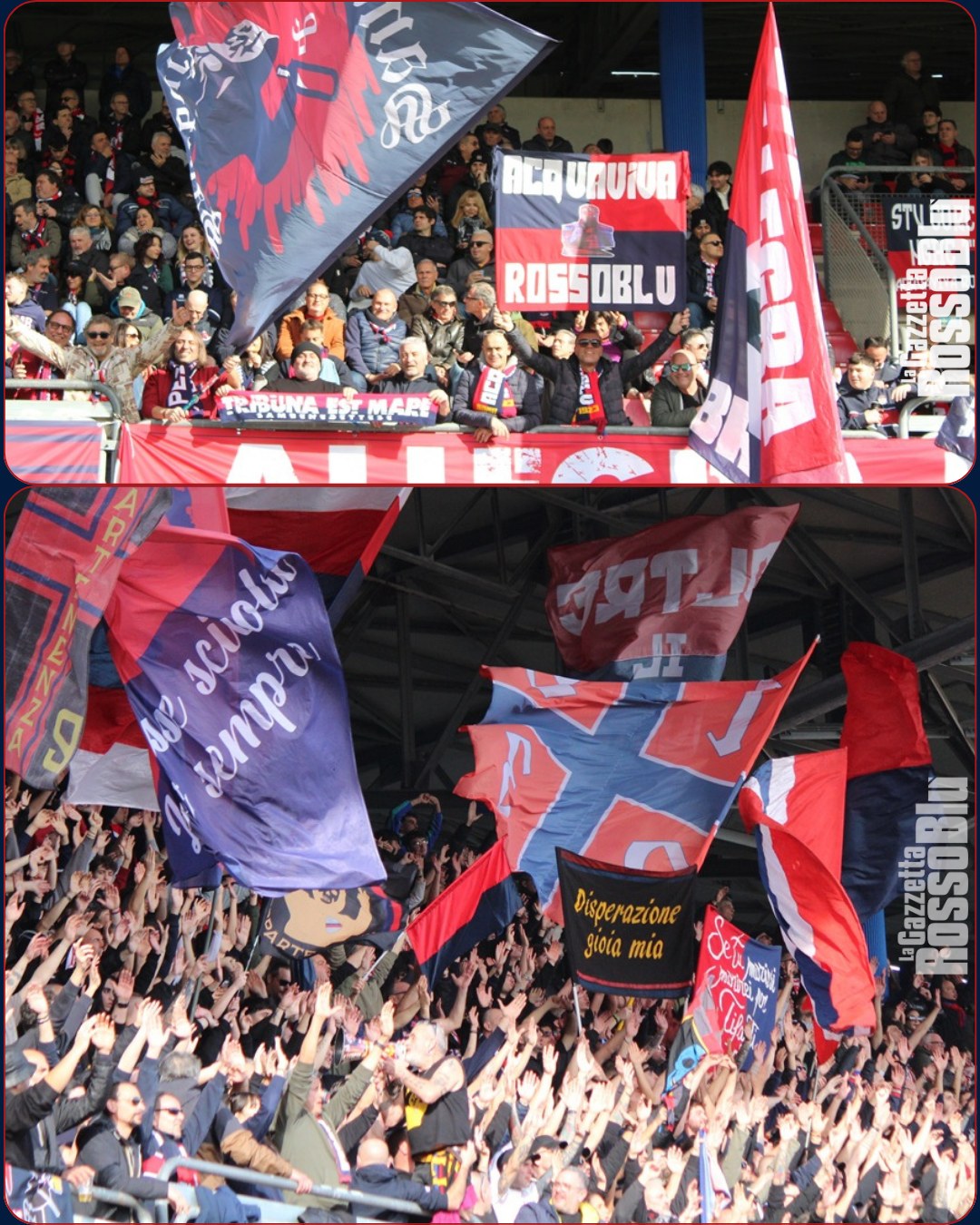 FOTOTIFO 🔜

Tra poco online la nostra galleria Fototifo 📸 sul match tra @u.s.sambenedettese 🔴🔵 e Perugia

#samper #sambperugia #fototifo #stadiorivieradellepalme #rivieradellepalme #grb #gazzettarossoblù #samb #sambenedettese #instagol #instafootball #lagazzettarossoblù #calcio #rossoblù #seriec #gironeb #legapro #seriecskywifi