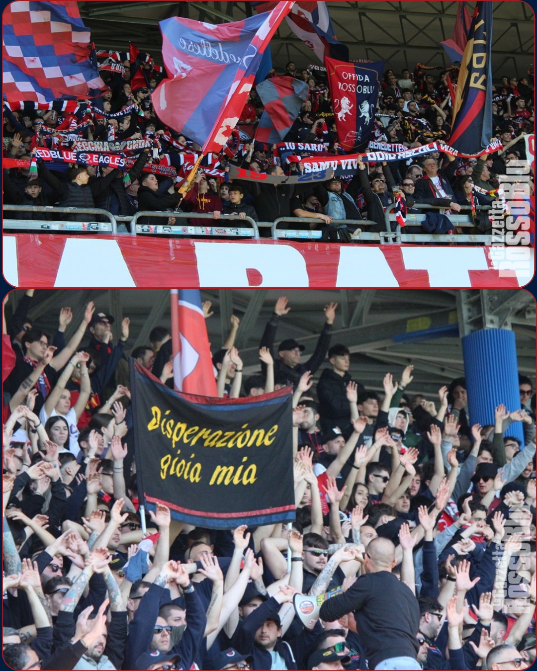 🔴🔵

Tra poche ore 🔜 online la nostra galleria Fototifo 📸 sulla partita tra @u.s.sambenedettese e Arezzo 🏟

#sambarezzo #samare #fototifo #tifosi #stadiorivieradellepalme #grb #gazzettarossoblù #samb #sambenedettese #instagol #instafootball #lagazzettarossoblù #calcio #rossoblù #seriec #gironeb #legapro #seriecskywifi