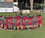 Unione Rugby SBT, due sconfitte ma buoni segnali nei test match di Pesaro