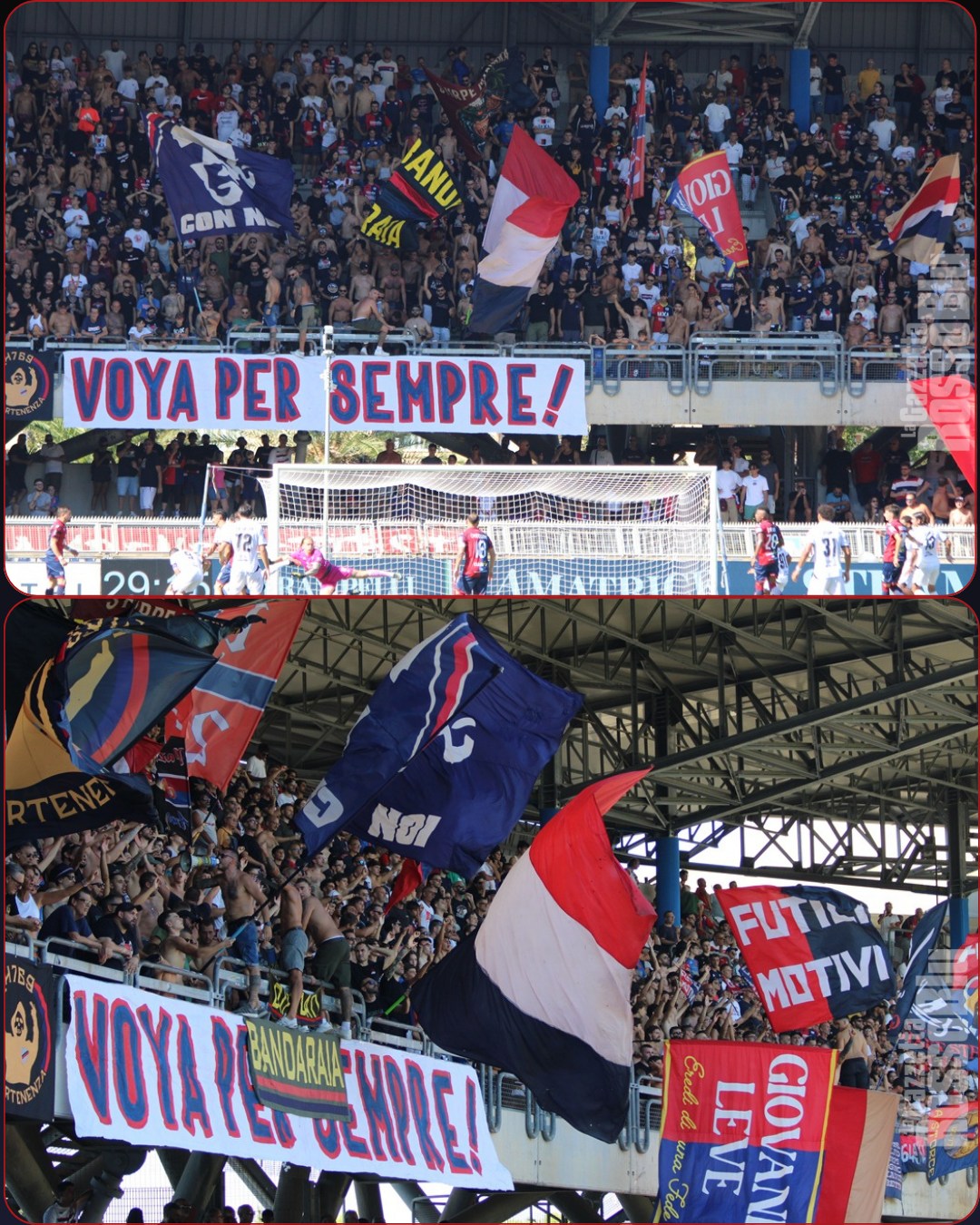 FOTOTIFO 🔛

È online la nostra galleria Fototifo 🎞 sul match tra @u.s.sambenedettese 🔴🔵 e Spezia

#samspe #sambspezia #fototifo #stadiorivieradellepalme #grb #gazzettarossoblù #samb #sambenedettese #lagazzettarossoblù #calcio #seriec #gironeb #legapro #seriecskywifi