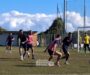 Verso Reggiana-Samb, report allenamento: differenziato per Zini, out Krapikas e Nicoli